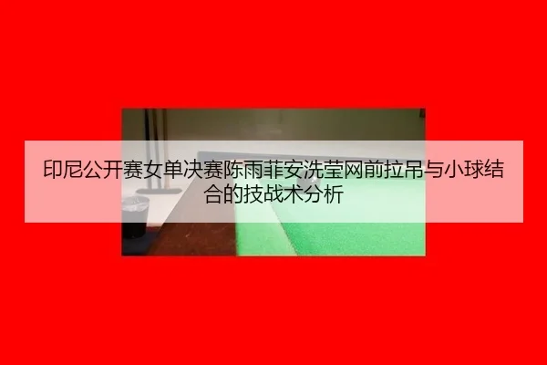 印尼公开赛女单决赛陈雨菲安洗莹网前拉吊与小球结合的技战术分析